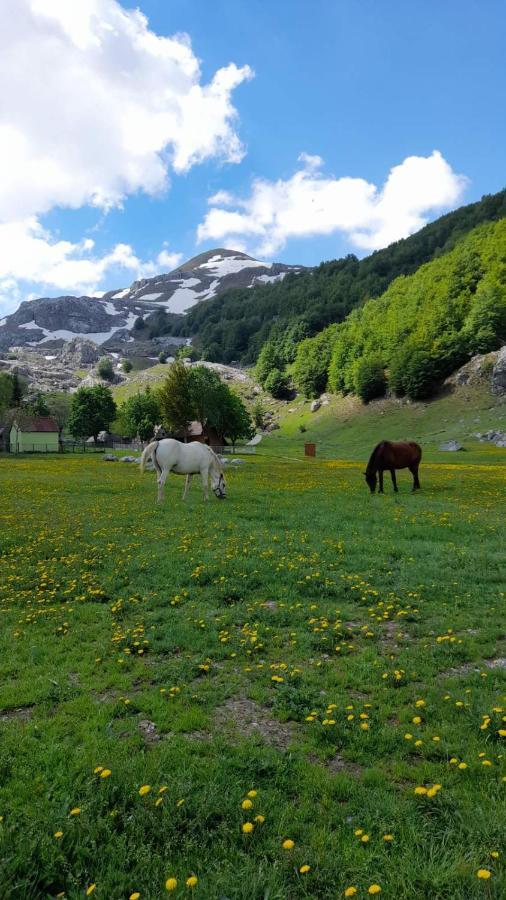 Katun Mokra Accommodation & Horseback Riding Podgorica Eksteriør billede