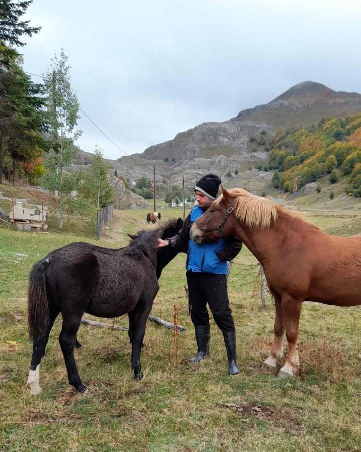Katun Mokra Accommodation & Horseback Riding Podgorica Eksteriør billede