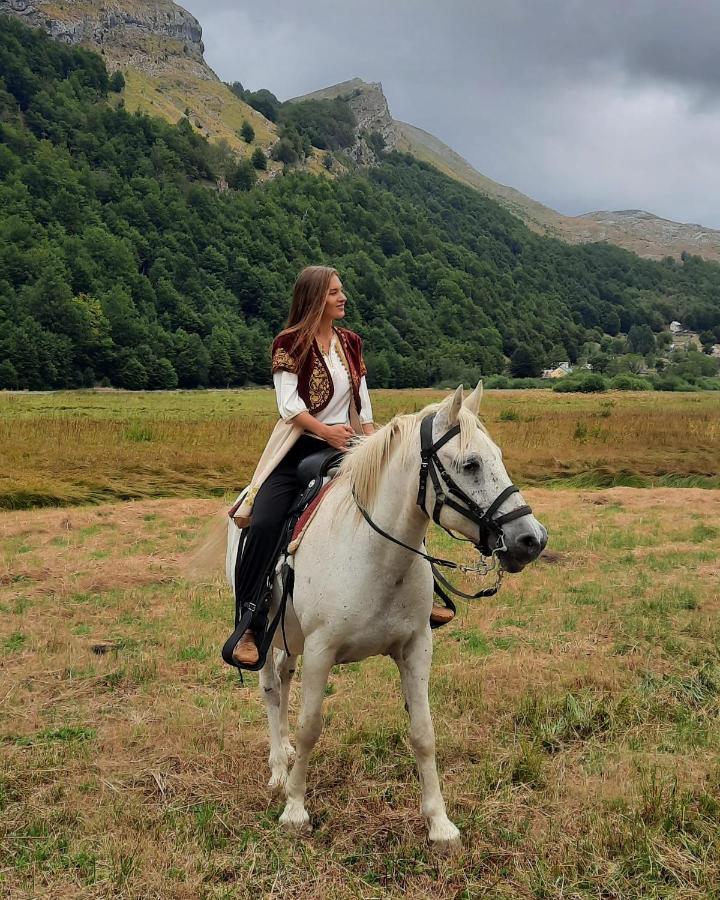 Katun Mokra Accommodation & Horseback Riding Podgorica Eksteriør billede