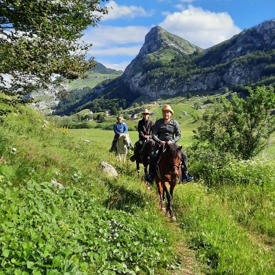 Katun Mokra Accommodation & Horseback Riding Podgorica Eksteriør billede