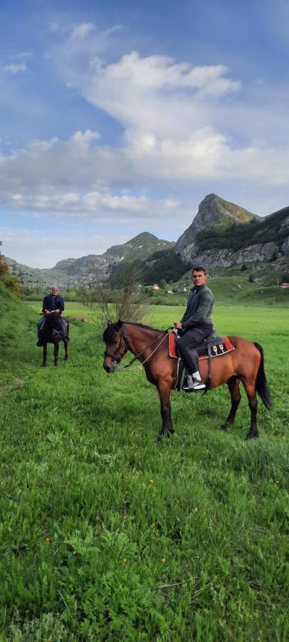 Katun Mokra Accommodation & Horseback Riding Podgorica Eksteriør billede