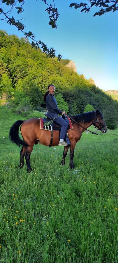 Katun Mokra Accommodation & Horseback Riding Podgorica Eksteriør billede