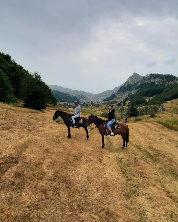 Katun Mokra Accommodation & Horseback Riding Podgorica Eksteriør billede