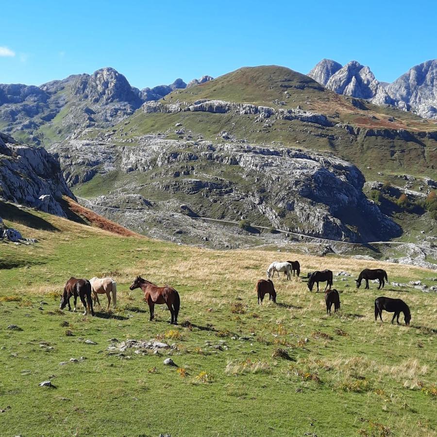 Katun Mokra Accommodation & Horseback Riding Podgorica Eksteriør billede