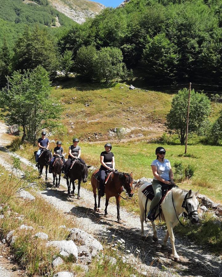 Katun Mokra Accommodation & Horseback Riding Podgorica Eksteriør billede
