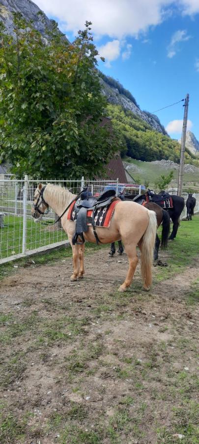 Katun Mokra Accommodation & Horseback Riding Podgorica Eksteriør billede
