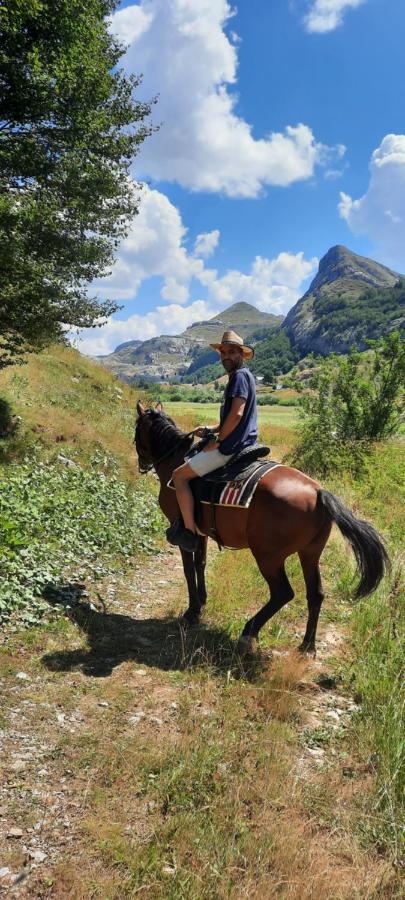 Katun Mokra Accommodation & Horseback Riding Podgorica Eksteriør billede