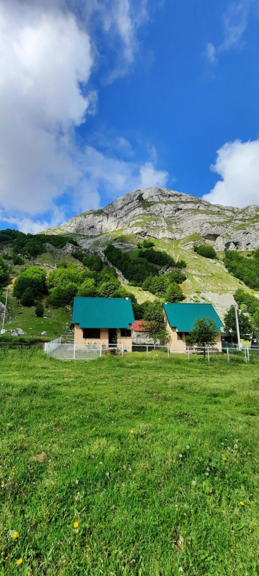 Katun Mokra Accommodation & Horseback Riding Podgorica Eksteriør billede