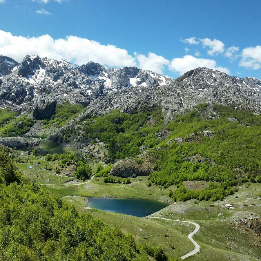 Katun Mokra Accommodation & Horseback Riding Podgorica Eksteriør billede