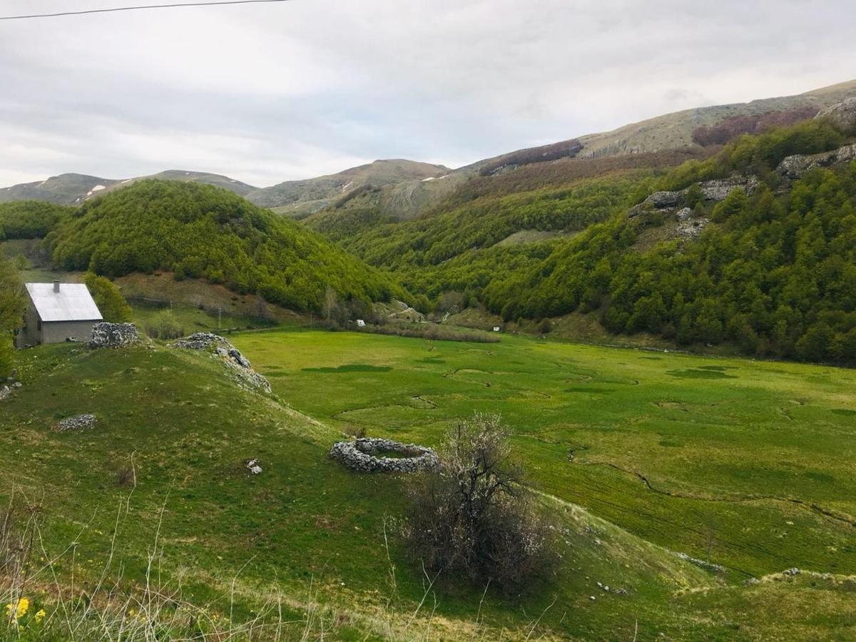 Katun Mokra Accommodation & Horseback Riding Podgorica Eksteriør billede